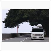 ２０１３年　鹿児島帰省日記⑤ ...