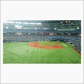 野球観戦（オリックスVS埼玉 ...