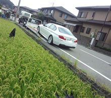 BMW F10納車1ヶ月 BMW F10納車1ヶ月