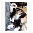 連休も汗だく(^o^;)
