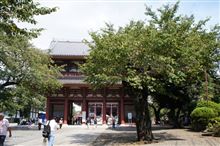 東京日和アフター　池上本門寺