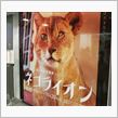 にゃんこ写真展、その前にお楽しみ♪