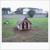 今日も、雨なんだ。