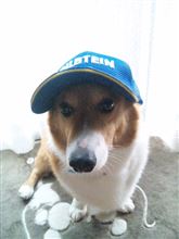 10日遅れの蔵王日記。。。の巻