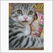 決定(仮)(^^ゞ