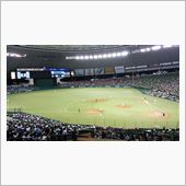 野球観戦（埼玉西武VS東北楽 ...