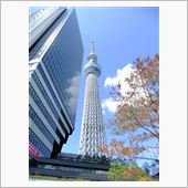 今年はどこに泊まろうか