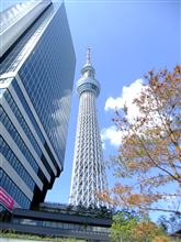 今年はどこに泊まろうか