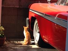 Plymouth ☆ しばし中断…