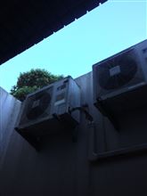 天気いいな〜
