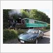 やながわ希望の森公園（福島県）・さくら１号