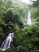 夏休み