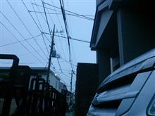 台風来てるヨ。雨が降ってるヨ☆ヽ(o_ _)oポテッ