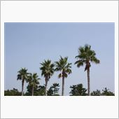 真夏の１０月