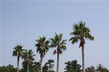 真夏の１０月