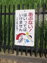 立入禁止だそうですが