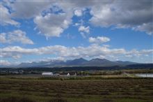久しぶりにカメラを構えて。。。
