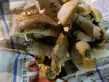 やはり焼きが一番