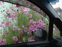 雨の週末