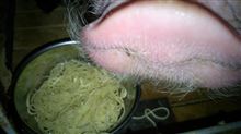 ブタがラーメン