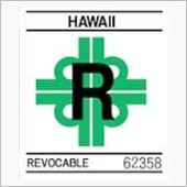 ZOOM808 island ...
