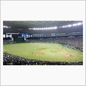野球観戦（埼玉西武VS千葉ロ ...