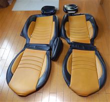 Dotty COX seatcover