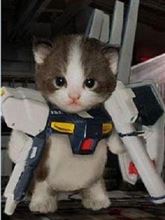 取れました～＼(^o^)／
