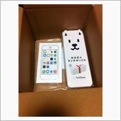 届きました
