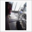 介助犬ではありませんが(?_?)