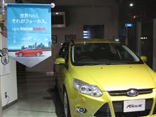 フォーカス国内復活から半年 フォーカス国内復活から半年