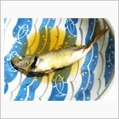 工事は続くが釣果も～