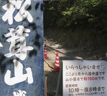 2013秋の味覚「松茸」堪能オフ・・・贅沢松茸堪能編 