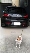 犬引フック