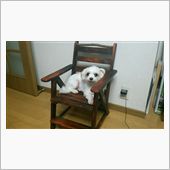 木製チェア