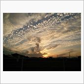 絶賛風邪引き中