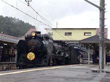D51 498