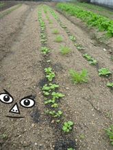 二度寝しちゃった。