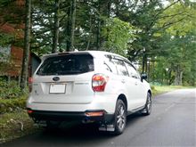 SUV 化…？