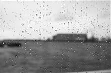 雨のバスツアー