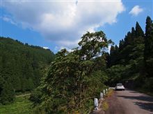 福井県道１３５号谷北六呂師線　