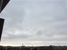１０月２２日　疲れが抜けない火曜日、おはよ～♪
