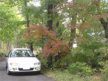 紅葉を求めて♪ 紅葉を求めて♪