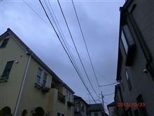 今日は傘をお忘れなく(=^ー゜)ノ