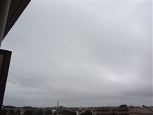 １０月２４日　天気も気分もスッキリしない木曜日、おはよ～♪