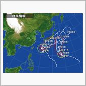 点検と脚交換