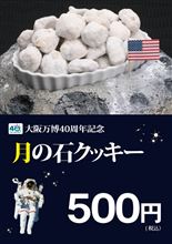 人類（アポロ）は月に行ってない・・・ってウワサも、どうやら本当らしい。