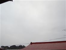 １０月２６日　スッキリしない天気の週末土曜日、おはよ～♪
