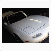 やっと洗車♪