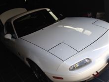やっと洗車♪